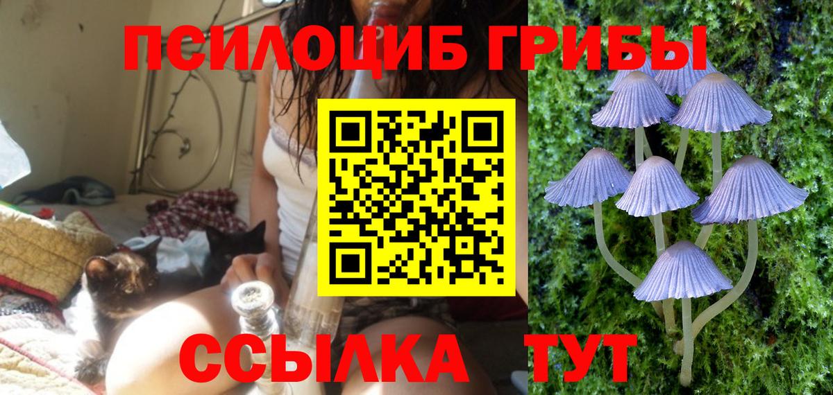 Псилоцибиновые грибы мицелий Дмитров