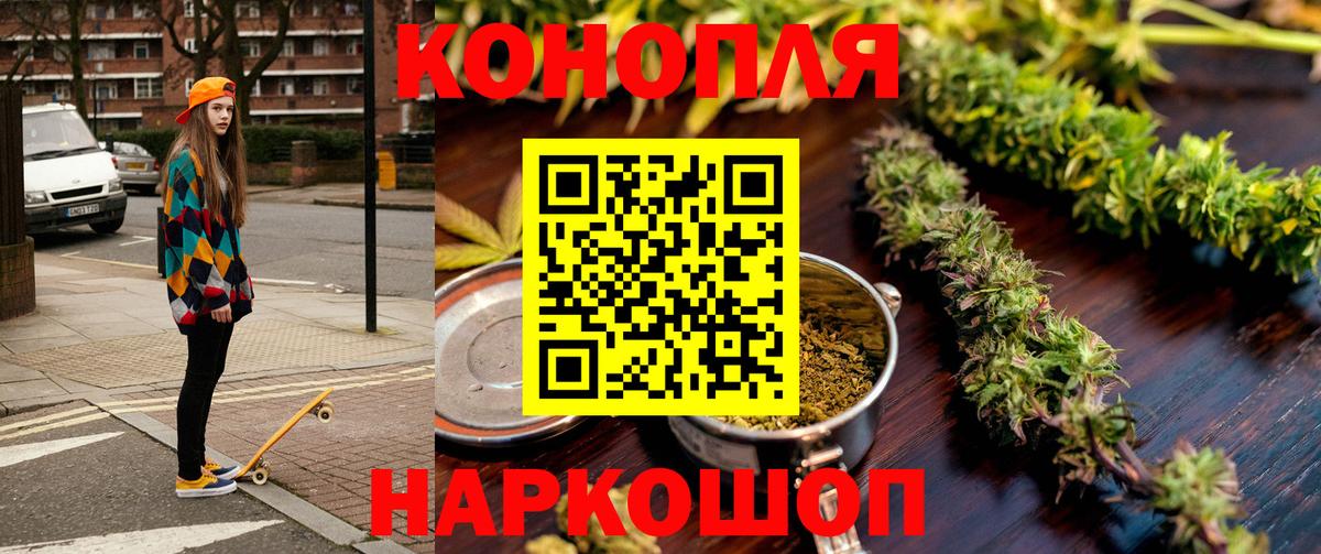 Конопля гибрид Дмитров